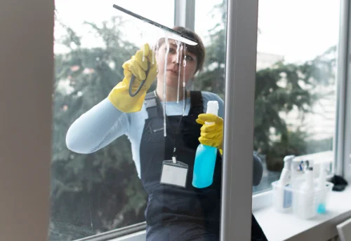 Nettoyage de vitres intérieures et extérieures à Cohons